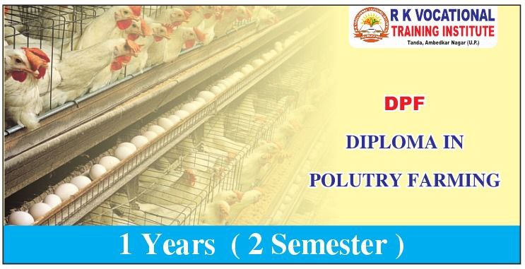 DIPLOMA IN POULTRY FARMING